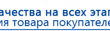 СКЭНАР-1-НТ (исполнение 01 VO) Скэнар Мастер купить в Южно-сахалинске, Аппараты Скэнар купить в Южно-сахалинске, Скэнар официальный сайт - denasvertebra.ru